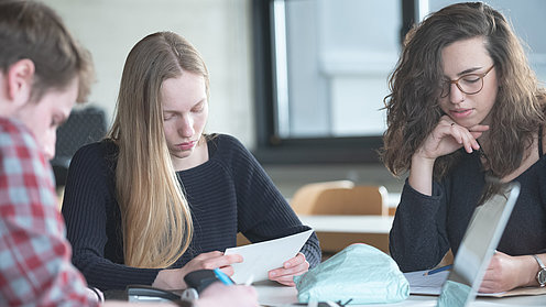 Studierende lernen in einer Lerngruppe